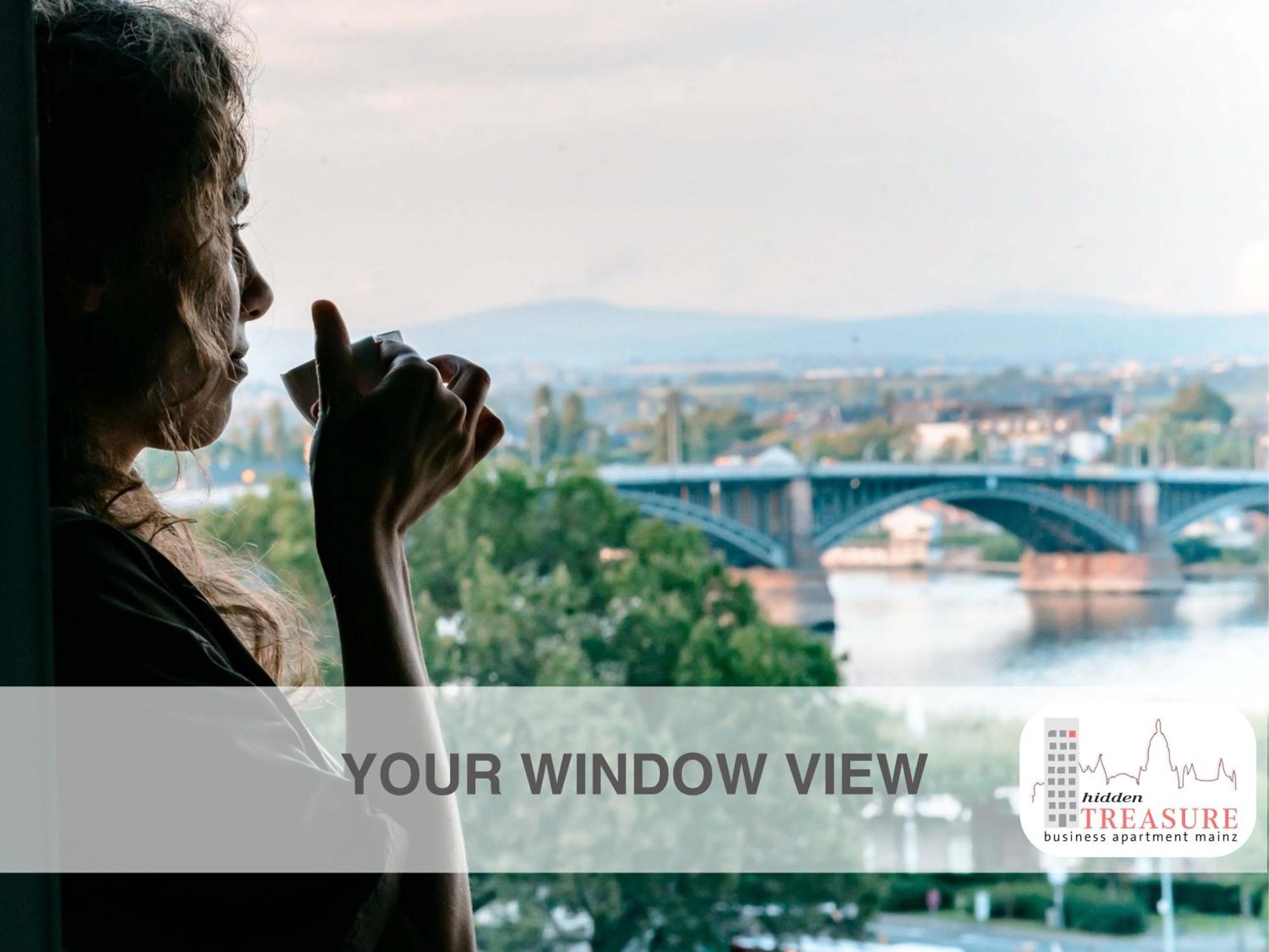 Hidden Treasure Business Apartment Mainz - Fantastic Rhine View In Center Of Mainz Old Town Экстерьер фото