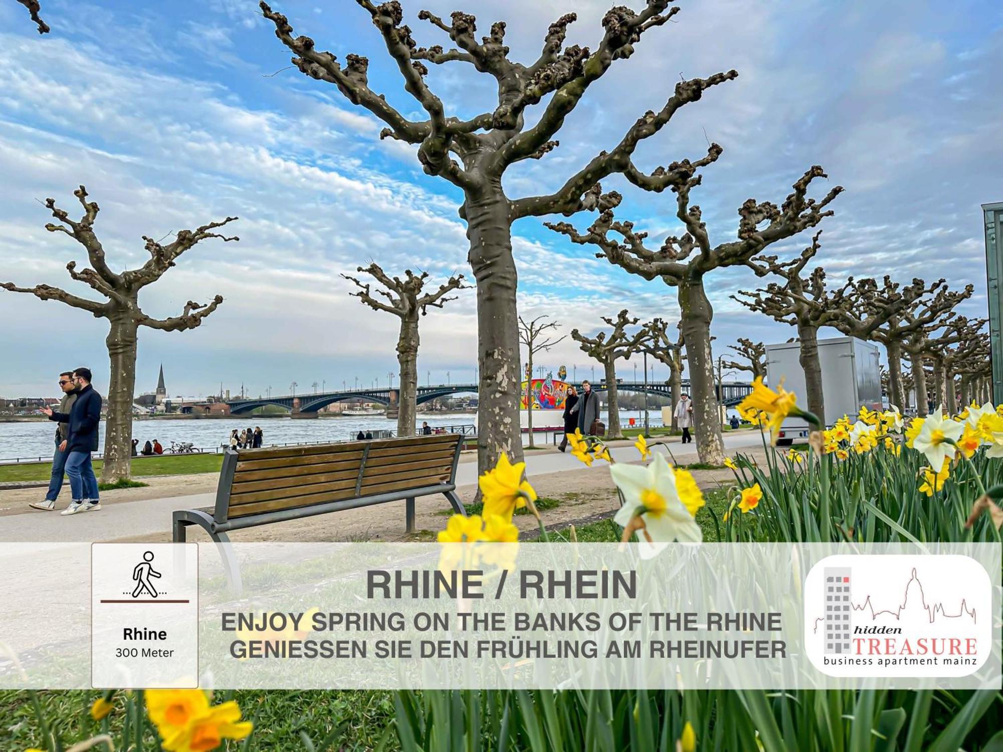 Hidden Treasure Business Apartment Mainz - Fantastic Rhine View In Center Of Mainz Old Town Экстерьер фото