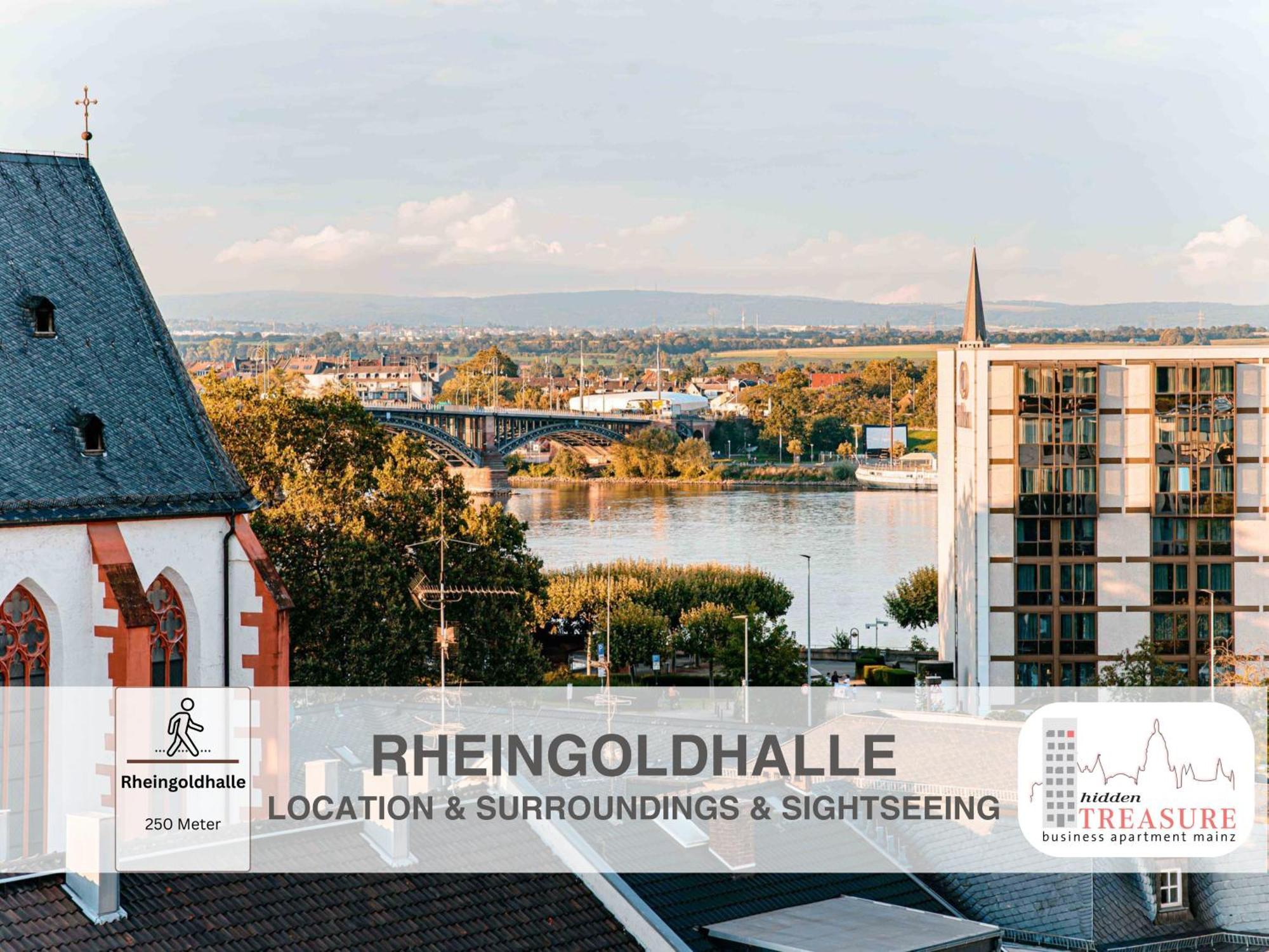 Hidden Treasure Business Apartment Mainz - Fantastic Rhine View In Center Of Mainz Old Town Экстерьер фото