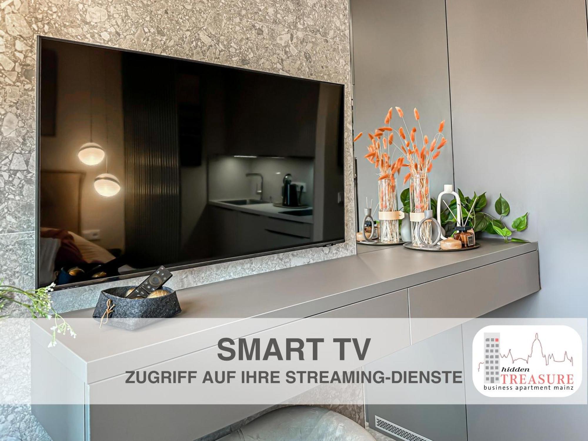 Hidden Treasure Business Apartment Mainz - Fantastic Rhine View In Center Of Mainz Old Town Экстерьер фото