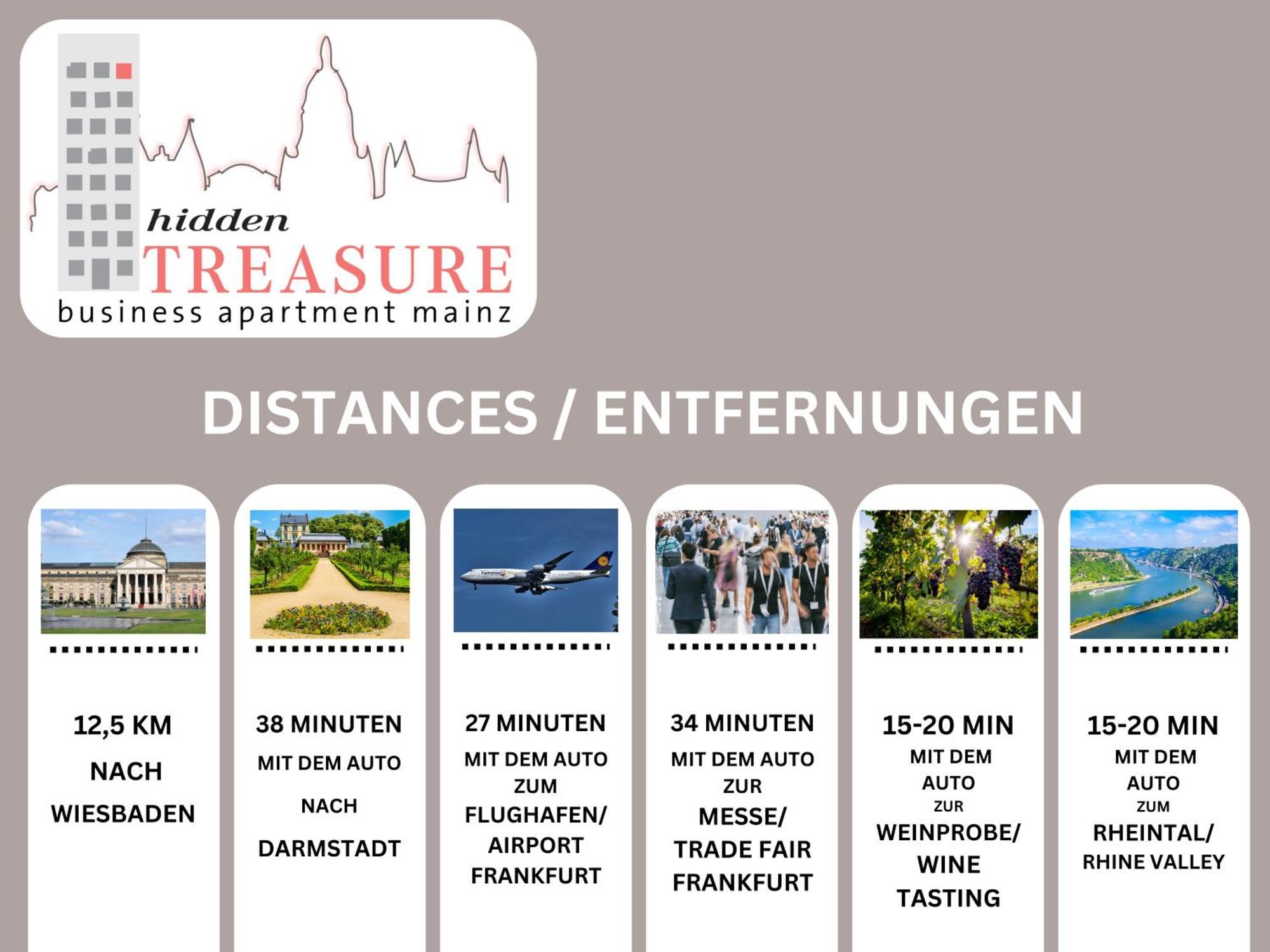 Hidden Treasure Business Apartment Mainz - Fantastic Rhine View In Center Of Mainz Old Town Экстерьер фото