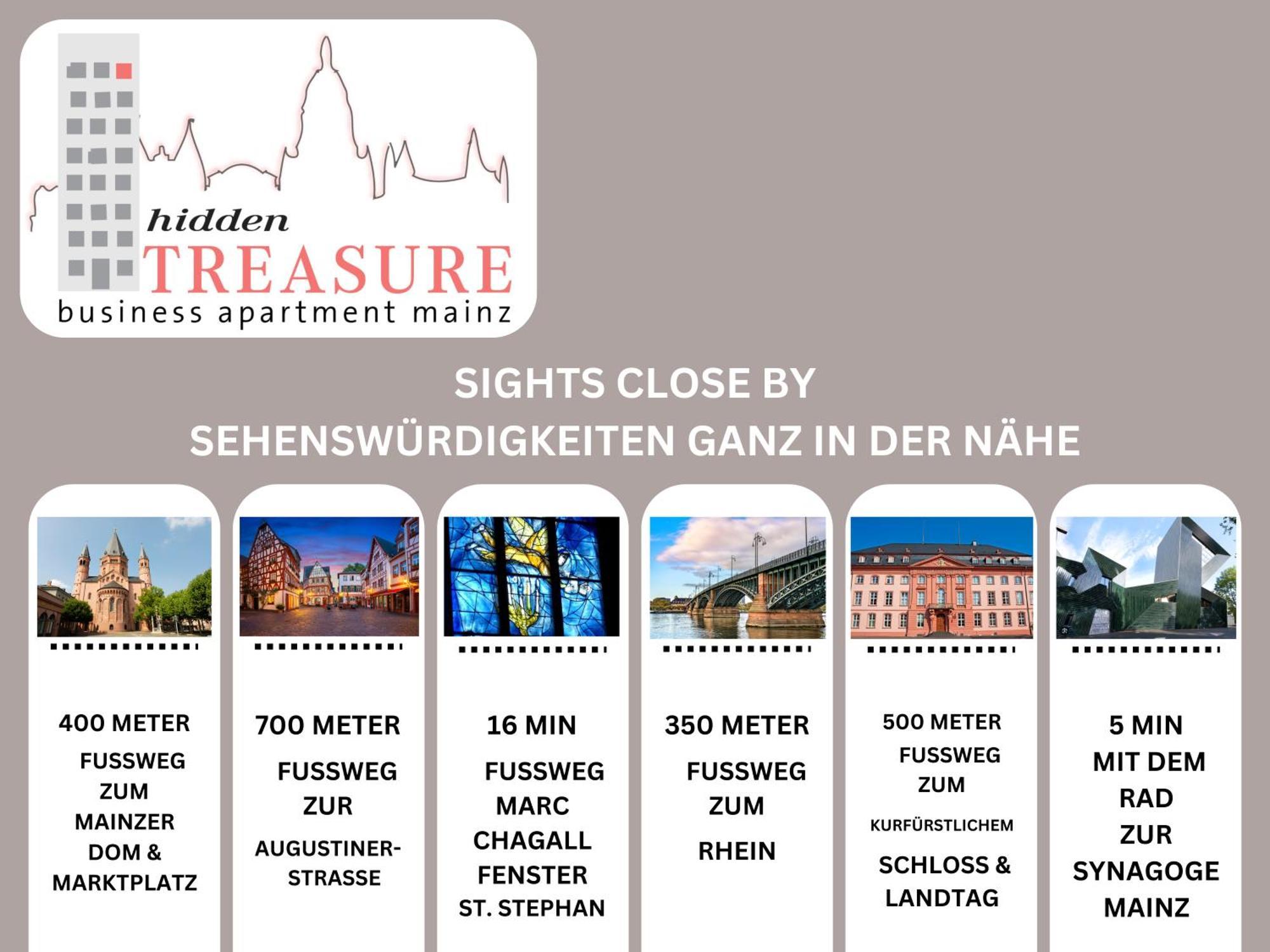 Hidden Treasure Business Apartment Mainz - Fantastic Rhine View In Center Of Mainz Old Town Экстерьер фото